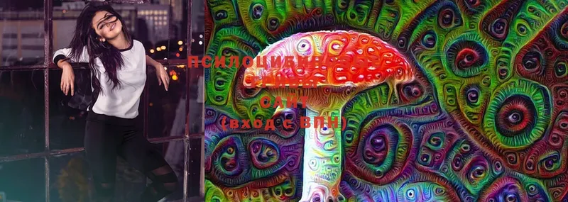 Галлюциногенные грибы Magic Shrooms  omg зеркало  Кушва  где купить  